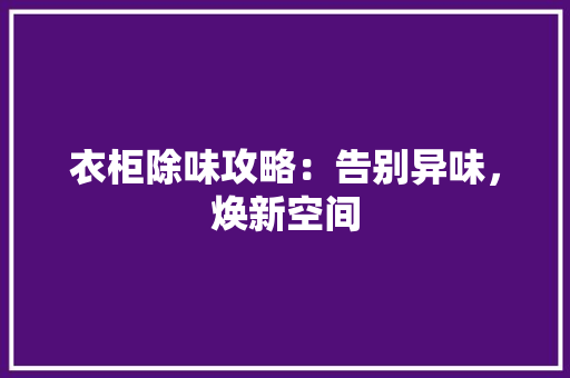 衣柜除味攻略：告别异味，焕新空间 室内设计