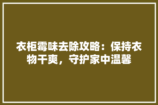 衣柜霉味去除攻略：保持衣物干爽，守护家中温馨 室内设计