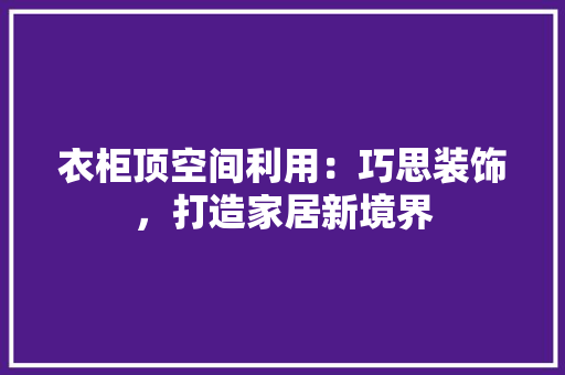 衣柜顶空间利用：巧思装饰，打造家居新境界 室内设计
