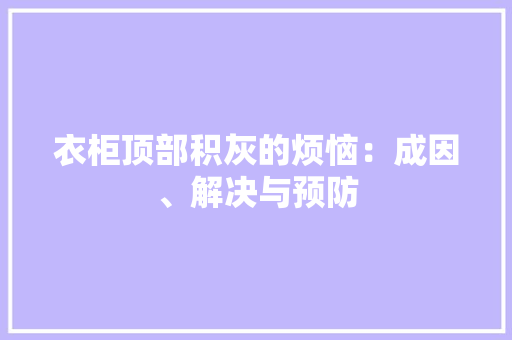衣柜顶部积灰的烦恼：成因、解决与预防 室内设计