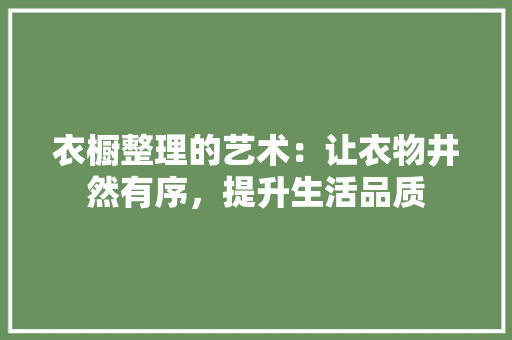 衣橱整理的艺术：让衣物井然有序，提升生活品质 室内设计