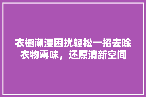 衣橱潮湿困扰轻松一招去除衣物霉味，还原清新空间