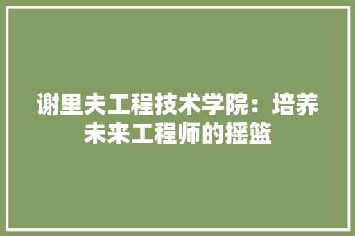 谢里夫工程技术学院：培养未来工程师的摇篮 室内设计
