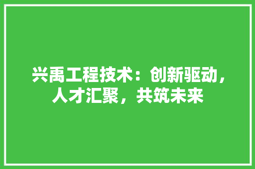 兴禹工程技术：创新驱动，人才汇聚，共筑未来