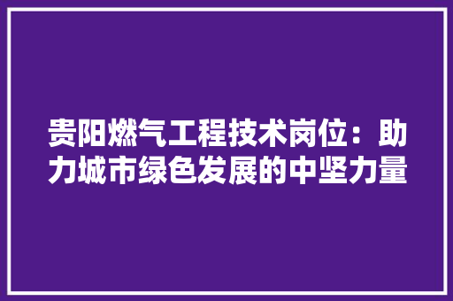 贵阳燃气工程技术岗位：助力城市绿色发展的中坚力量 室内设计