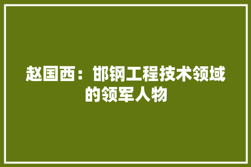 赵国西：邯钢工程技术领域的领军人物