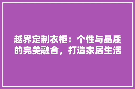 越界定制衣柜：个性与品质的完美融合，打造家居生活新境界 室内设计