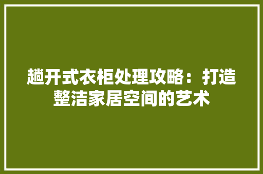 趟开式衣柜处理攻略：打造整洁家居空间的艺术 室内设计