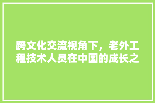 跨文化交流视角下，老外工程技术人员在中国的成长之路 室内设计