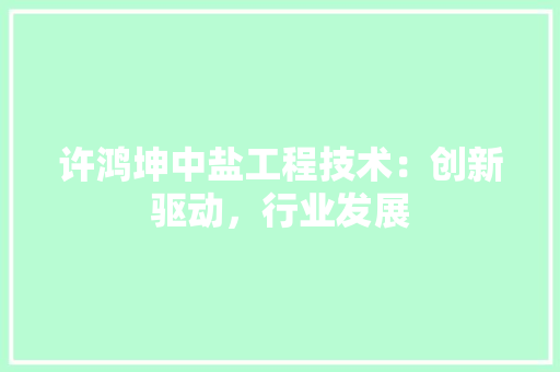 许鸿坤中盐工程技术：创新驱动，行业发展 室内设计