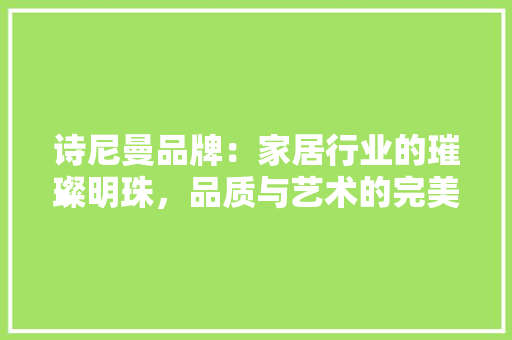 诗尼曼品牌：家居行业的璀璨明珠，品质与艺术的完美融合 室内设计