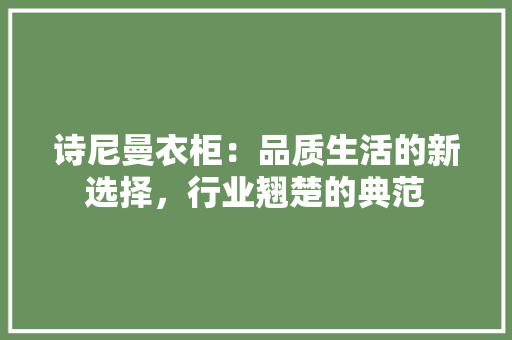 诗尼曼衣柜：品质生活的新选择，行业翘楚的典范 室内设计
