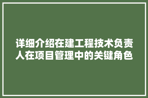 详细介绍在建工程技术负责人在项目管理中的关键角色 室内设计