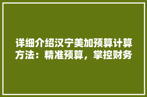 详细介绍汉宁美加预算计算方法：精准预算，掌控财务未来