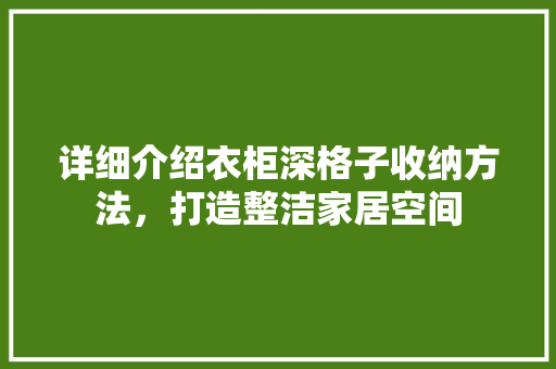 详细介绍衣柜深格子收纳方法，打造整洁家居空间 室内设计