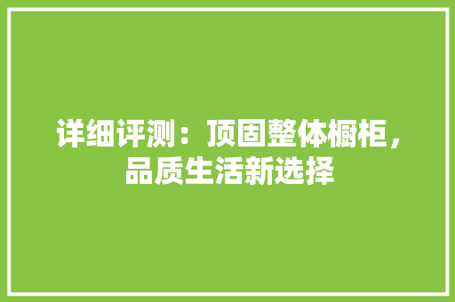 详细评测：顶固整体橱柜，品质生活新选择 室内设计