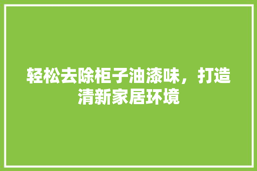 轻松去除柜子油漆味，打造清新家居环境 室内设计