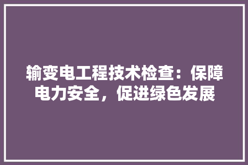 输变电工程技术检查：保障电力安全，促进绿色发展