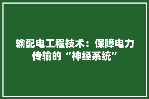 输配电工程技术：保障电力传输的“神经系统”