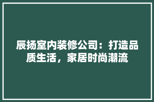 辰扬室内装修公司：打造品质生活，家居时尚潮流 室内设计