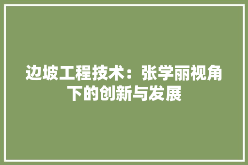 边坡工程技术：张学丽视角下的创新与发展 室内设计