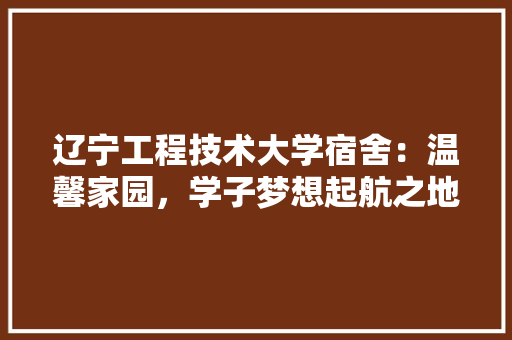 辽宁工程技术大学宿舍：温馨家园，学子梦想起航之地 室内设计