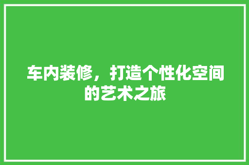 车内装修，打造个性化空间的艺术之旅