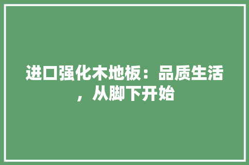 进口强化木地板：品质生活，从脚下开始 室内设计