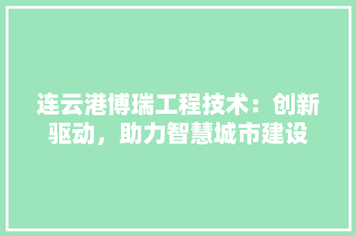 连云港博瑞工程技术：创新驱动，助力智慧城市建设