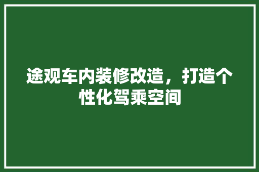 途观车内装修改造，打造个性化驾乘空间