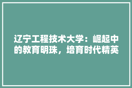 辽宁工程技术大学：崛起中的教育明珠，培育时代精英的摇篮 室内设计