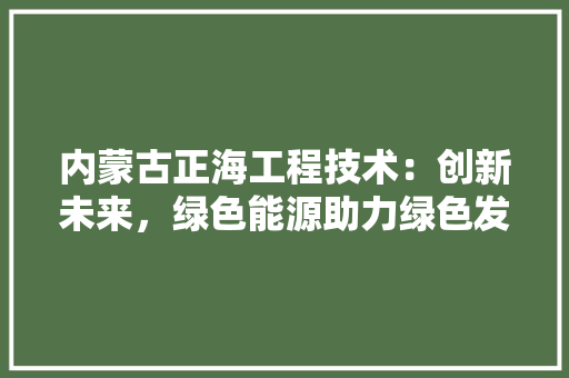 内蒙古正海工程技术：创新未来，绿色能源助力绿色发展