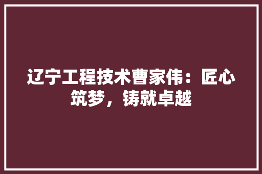 辽宁工程技术曹家伟：匠心筑梦，铸就卓越 室内设计