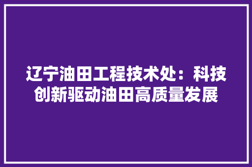 辽宁油田工程技术处：科技创新驱动油田高质量发展