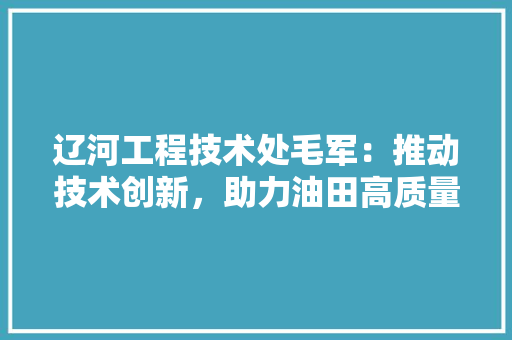 辽河工程技术处毛军：推动技术创新，助力油田高质量发展 室内设计