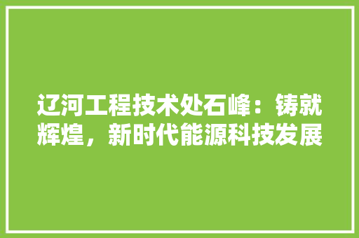 辽河工程技术处石峰：铸就辉煌，新时代能源科技发展