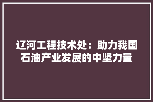 辽河工程技术处：助力我国石油产业发展的中坚力量 室内设计