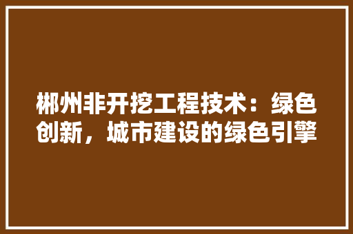 郴州非开挖工程技术：绿色创新，城市建设的绿色引擎 室内设计