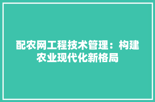 配农网工程技术管理：构建农业现代化新格局