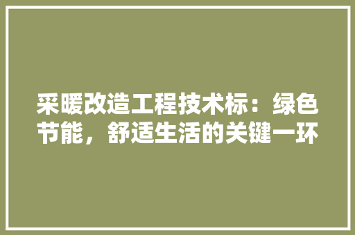 采暖改造工程技术标：绿色节能，舒适生活的关键一环