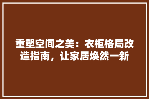 重塑空间之美：衣柜格局改造指南，让家居焕然一新 室内设计