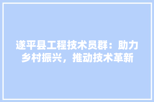 遂平县工程技术员群：助力乡村振兴，推动技术革新 室内设计