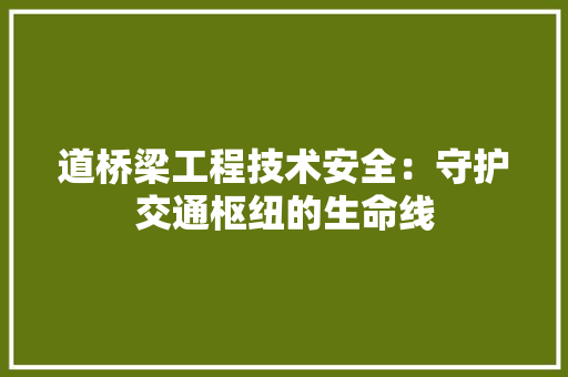 道桥梁工程技术安全：守护交通枢纽的生命线 室内设计