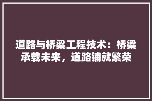 道路与桥梁工程技术：桥梁承载未来，道路铺就繁荣 室内设计