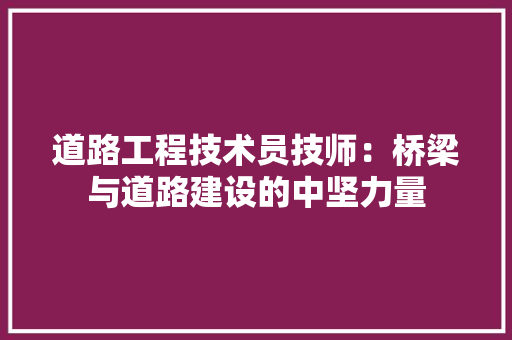 道路工程技术员技师：桥梁与道路建设的中坚力量 室内设计