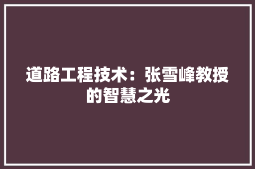 道路工程技术：张雪峰教授的智慧之光 室内设计