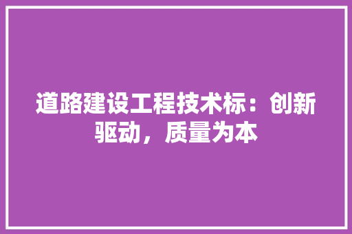 道路建设工程技术标：创新驱动，质量为本 室内设计
