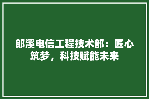 郎溪电信工程技术部：匠心筑梦，科技赋能未来 室内设计