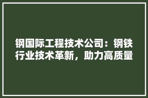 钢国际工程技术公司：钢铁行业技术革新，助力高质量发展