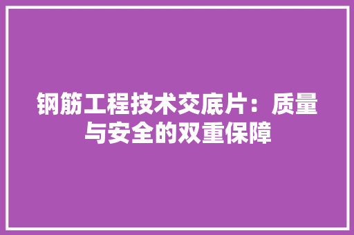 钢筋工程技术交底片：质量与安全的双重保障 室内设计